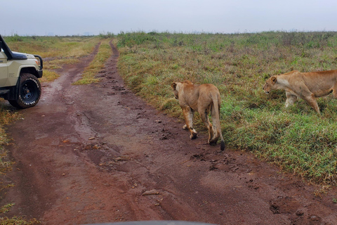 3 dni 2 noce Masai Mara Private Safari budżetowy Landcruiser