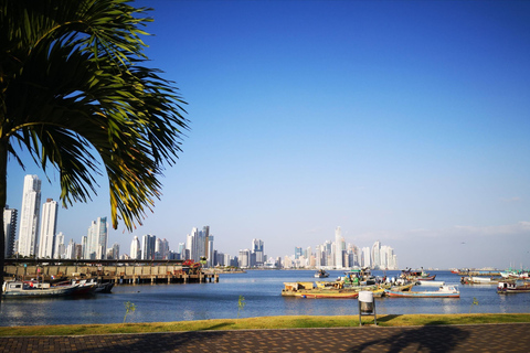 Panama: Night Tour and The Point Lookout Panama: Night tour with dinner, shared service in English