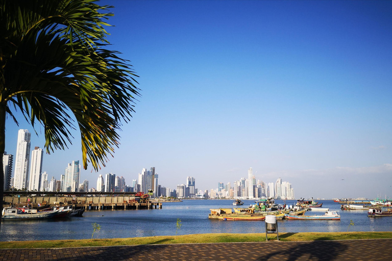 Panama: Night Tour and The Point Lookout Panama: Night tour with dinner, shared service in English