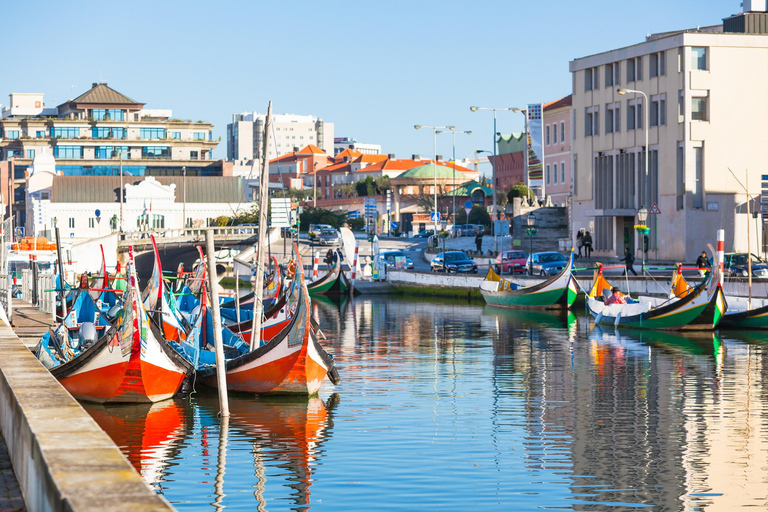 Aveiro, Costa Nova, Válega & Senhor da Pedra - Small Group