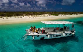  - Canarie.it