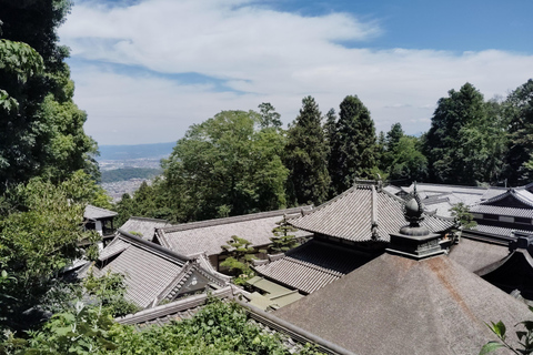 Nara: Führung durch den Hozan-ji-Tempel mit Seilbahnfahrt