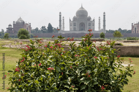 Da Bangalore al Taj Mahal e Delhi: un viaggio di lusso di 2 giorniTour con soggiorno in hotel 4*, pranzo, auto con aria condizionata, guida