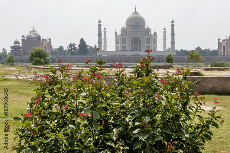 Da Bangalore al Taj Mahal e Delhi: un viaggio di lusso di 2 giorniTour con soggiorno in hotel 4*, pranzo, auto con aria condizionata, guida