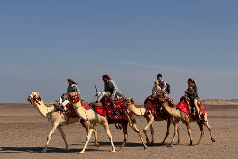 Passeio de camelo com pôr do sol e observação de estrelasServiço de busca no hotel em Hurghada