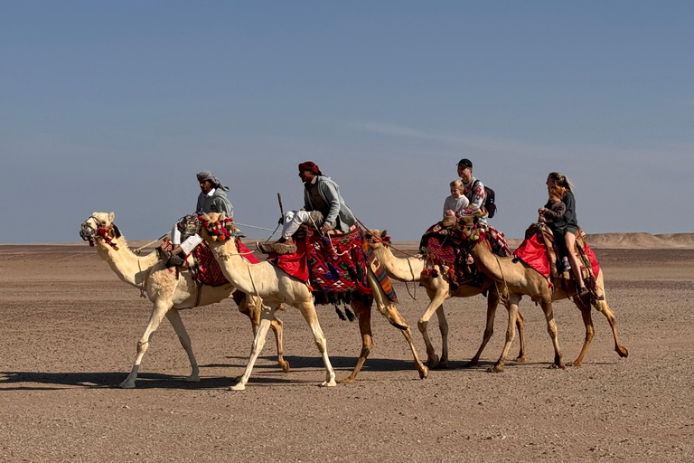 camel ride with sunset and star watchingpickup from hotels inside hurghada