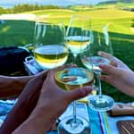 Berna, GurtenPark: punto di osservazione a 360°, scivolo, picnic con formaggi e vini svizzeri