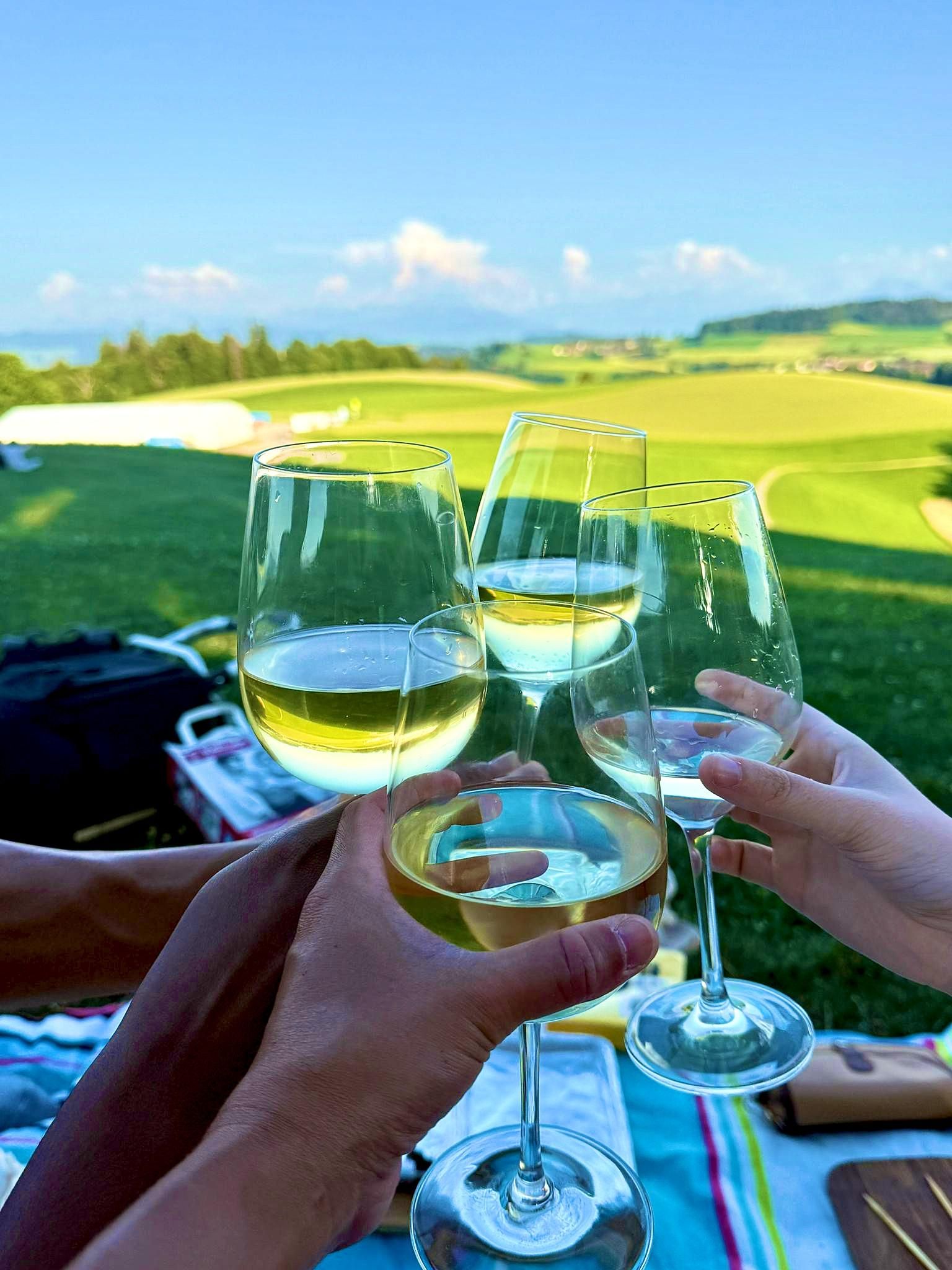 Bern, GurtenPark: 360°-Aussichtspunkt, Rutsche, Picknick mit Schweizer Käse und Weinen
