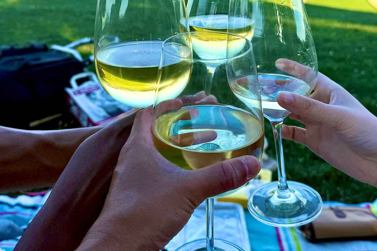 Bern, GurtenPark: 360 vantage point, slide, picnic with Swiss cheeses and wines - Bern, Gurten Park: Small Group Tour