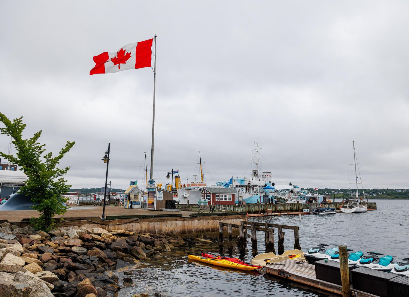 Halifax: Madtur ved havnen med hummerroll
