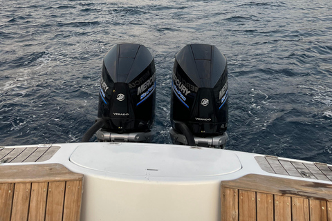 St. Lucia: Land and Sea Full-Day Coastal Adventure