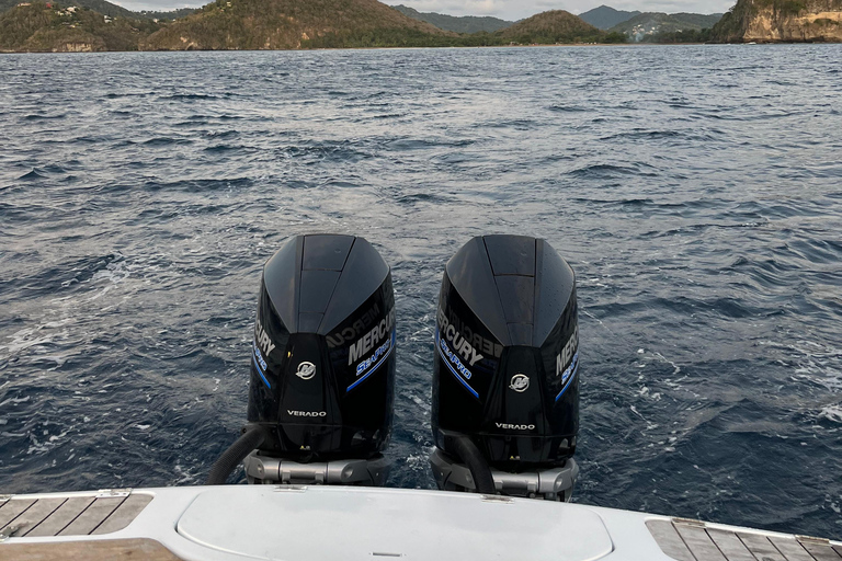 St. Lucia: Land and Sea Full-Day Coastal Adventure