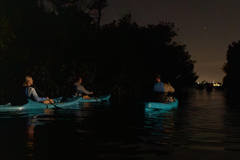 Cocoa Beach/Merritt Island:Bioluminescent kayak tour Single Kayak