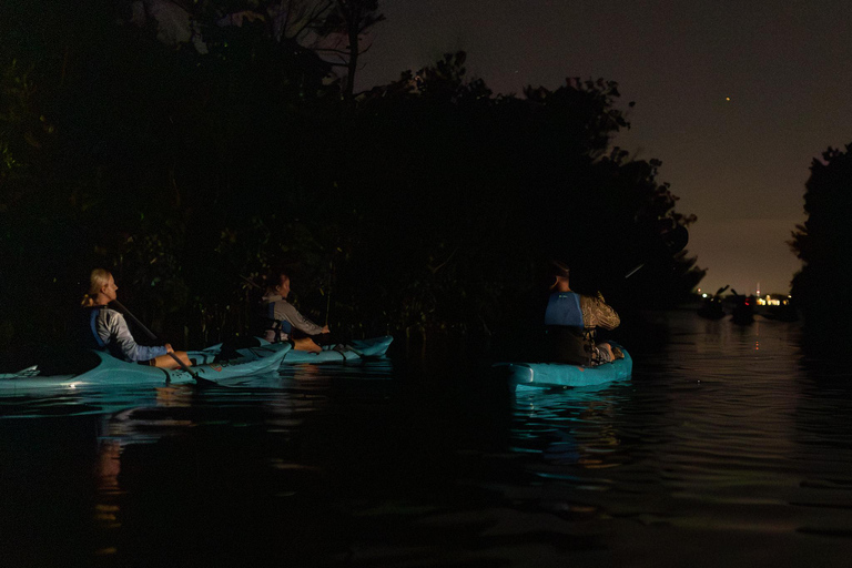 Cocoa Beach/Merritt Island:Bioluminescent kayak tour Single Kayak