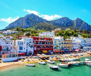 From Naples: Capri Guided Tour with Ferry Tickets & Minibus