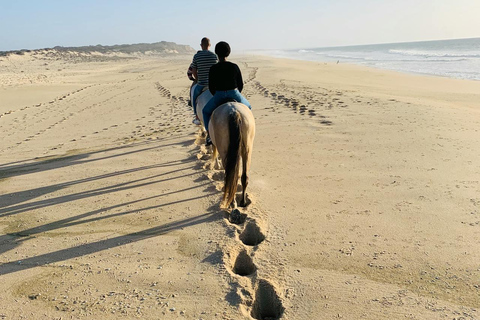 Hobart: Scenic Coastal Horseback Riding Adventure 1-hour Hobart: Scenic Coastal Horseback Riding Adventure