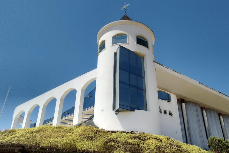 Wineries Tour in Casablanca Valley from Valparaiso Shared tour