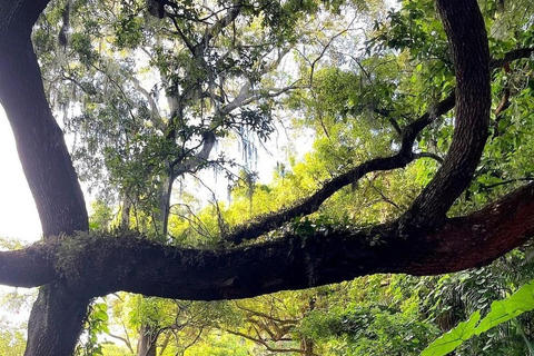 Winter Park: Clear Kayak Tour on Chain of Lakes