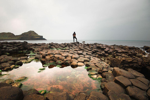 Giant's Causeway + Dark Hedges Day Tour
