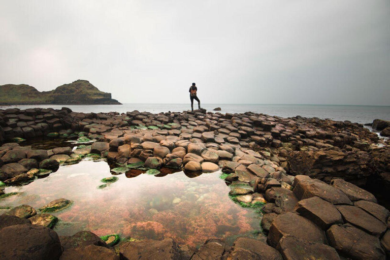Giant's Causeway + Dark Hedges Day Tour