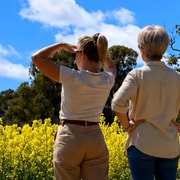 Follow the wildflower trail from Perth to New Norcia