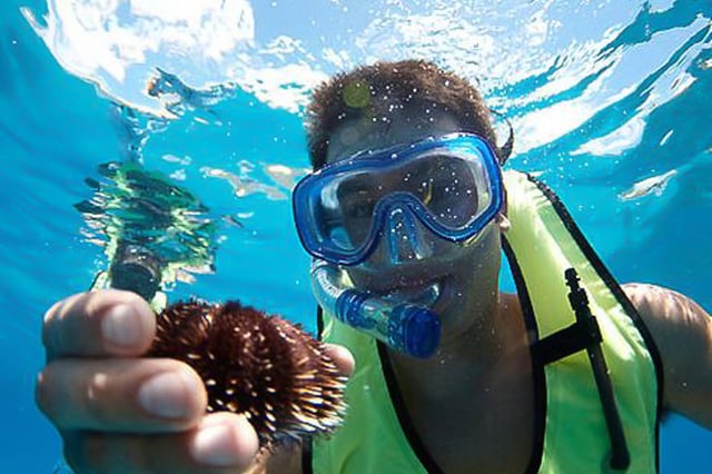 Oahu: Excursión de snorkel en Hilton Hawaiian Village