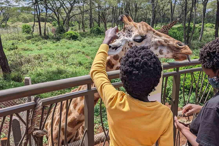 Demi-journée au Sheldrick Wildlife Trust et au Centre des girafes