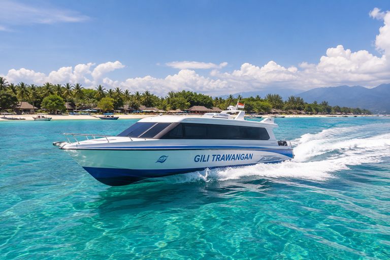Labuan Bajo: 5-Day Komodo to Gili Trawangan Whale Shark Tour Standart Boat | Sharing Deck | No WHALE SHARK