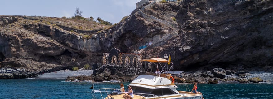 Depuis la plage de San Juan : croisière pour observer la faune marine