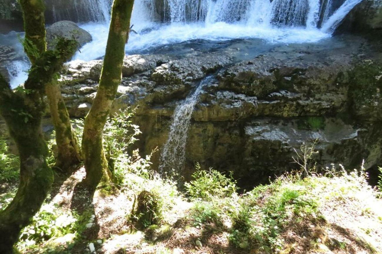 Escursione di un giorno al Canyon di Dashbash con una guida autorizzata