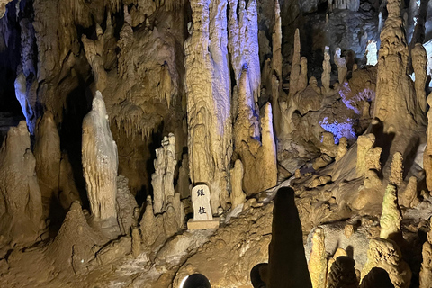 Au départ de Tokyo : visite privée de 14 jours au Japon avec hôtel et repas