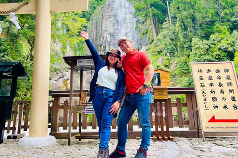 Guided Wakayama Heritage & Forest Trails with Hotel Pickup