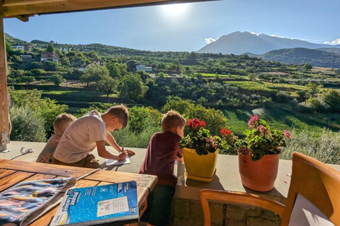 From Durrës: Wine Tasting at Alpeta Winery in Berat