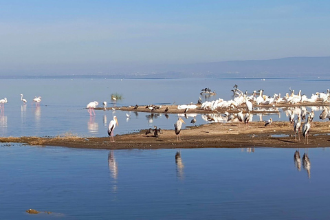 2 Days Safari to Lake Nakuru, Naivasha & Hell's gate