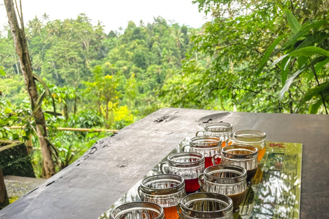 Bali Half Day: Bird Park & Ancient Temple