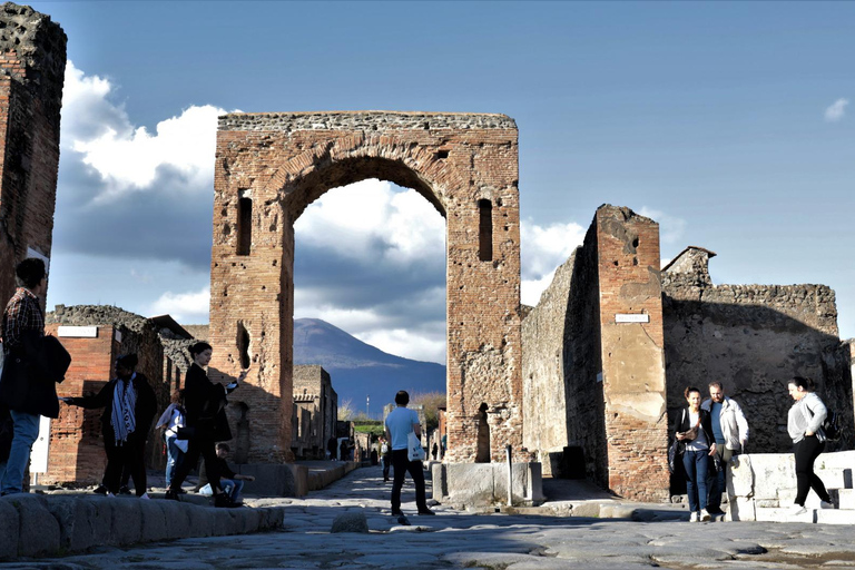 Pompeii: Group Guided Tour With Optional Tickets Tour without Tickets