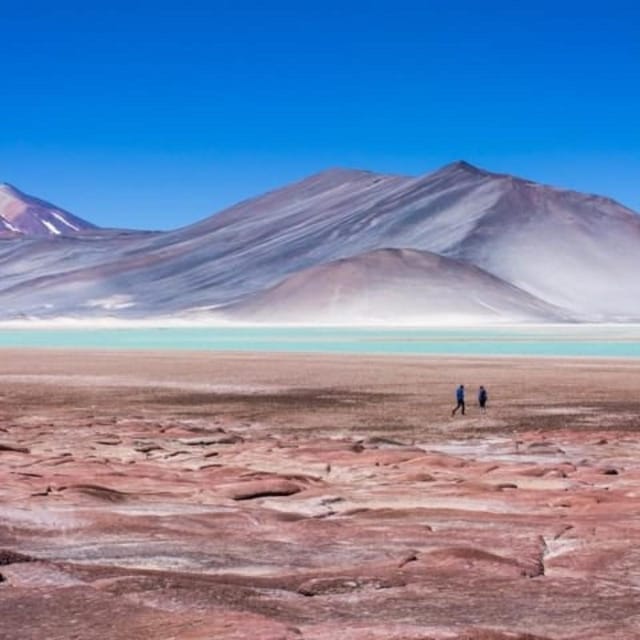 San Pedro De Atacama Piedras Rojas Y Lagunas Altiplanicas GetYourGuide