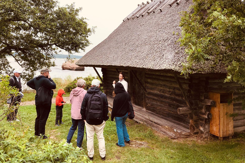 Forest Bathing & Mindfulness Nature Retreat from Tallinn