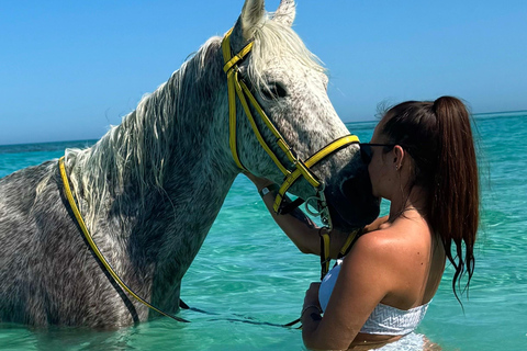 Hurghada: Swimming & Horse riding with FREE Photos & Videos 2-Hour Horse Swimming & Photos with Transfer