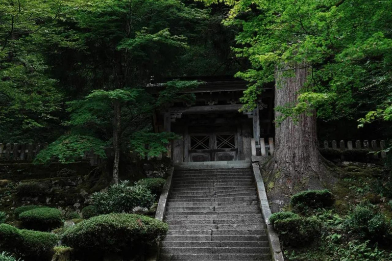 4-Day Cultural Tour from Tokyo to Kanazawa & Fukui 4-Day from Tokyo to Kanazawa & Fukui（No tour guide）