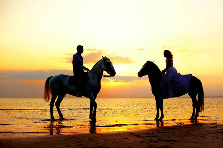 Side: Horseback Riding Tour in Nature with Transfer Horseback Riding Tour in Side: Experience Beach and Forest