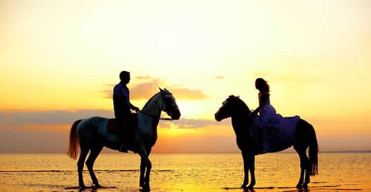 Side: Horseback Riding Tour in Nature with Transfer | GetYourGuide