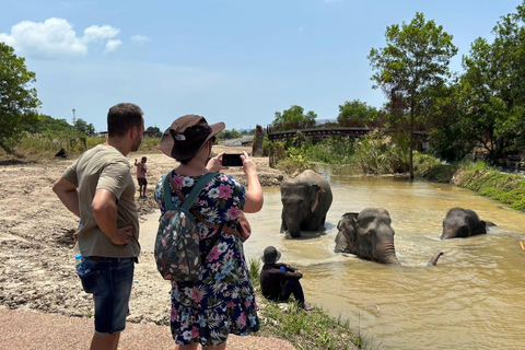 Phuket: Reserva de elefantes Freedom - Paseo por la naturaleza etéreaPhuket: Tour por la reserva natural Freedom Elephant Reserve con paseo y alimentación de elefantes