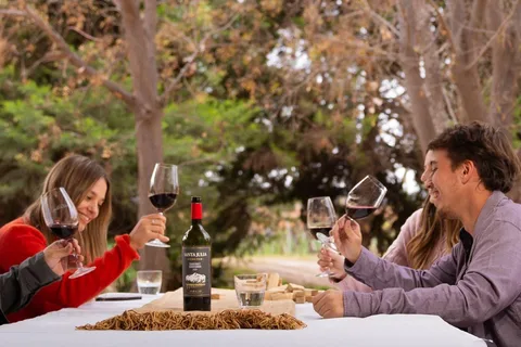 Vinhos, vinhedos e piquenique: Vinícolas de Mendoza