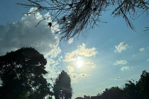 Nairobi: Evergreen Park Guided Tour With Entrance Fee