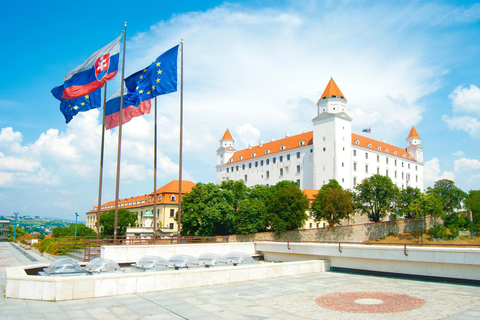 Tour privato con ingresso al ponte di osservazione degli UFO di Bratislava