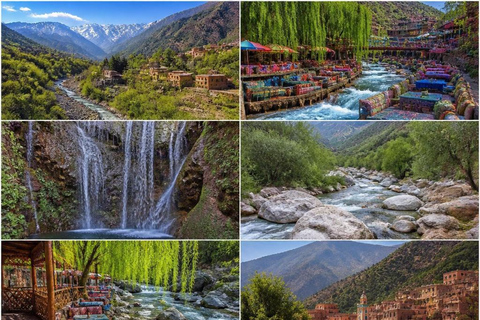 From Marrakech: Ourika Valley Atlas Mountains Day Trip with Lunch Option 3: Shared Group Transport and Local Guide