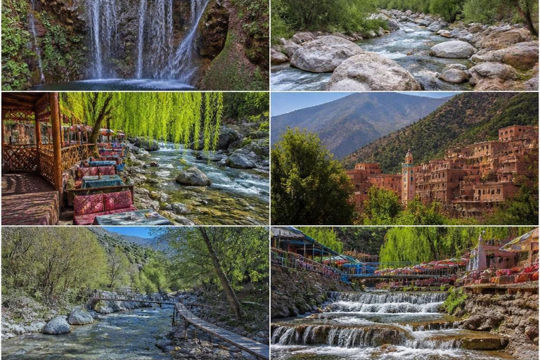 From Marrakech: Ourika Valley Atlas Mountains Day Trip with Lunch Option 3: Shared Group Transport and Local Guide