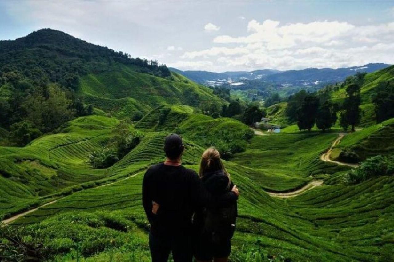 Ipoh: Tagestour zu den Cameron Highlands und zum Mooswald mit Mittagessen