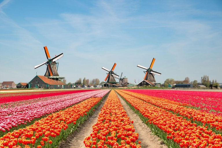From Amsterdam: 3-Day Rotterdam Trip with Hotel Stay